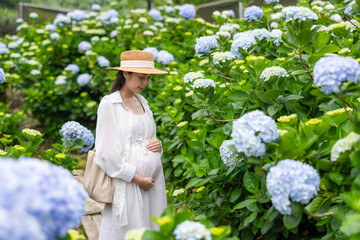 Pregnant woman in the Hydrangea farm