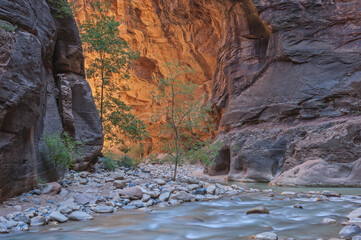 Landscape of the Virgin River Narrows captured with motion blur, Zion National Park, Utah, USA