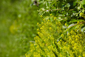 Steinbruch Mythos Stein, Geseke, Kreis Soest, NRW, Deutschland 2024 