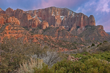 Landscape at dawn of cliff and forest, Kolob Canyons, Zion National Park, Utah, USA