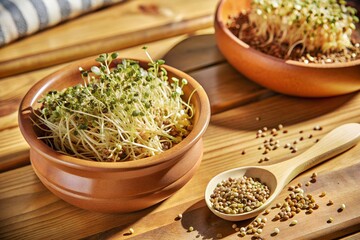 microgreens in a pot on a table with seeds and wooden spoon near