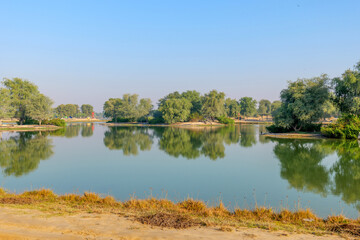 Fototapeta premium popular place for recreation and picnics Al Qudra Lake, Dubai, UAE