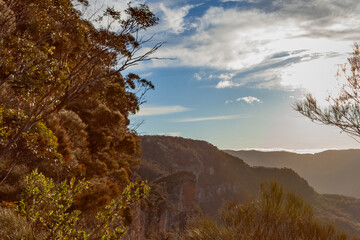Korowal/Mt Solitary traverse in Blue Mountains National Park