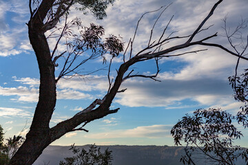 Korowal/Mt Solitary traverse in Blue Mountains National Park