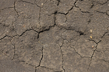 Wall texture soil dry crack pattern of drought lack of water of nature brown old broken background.