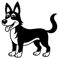 black and white dog