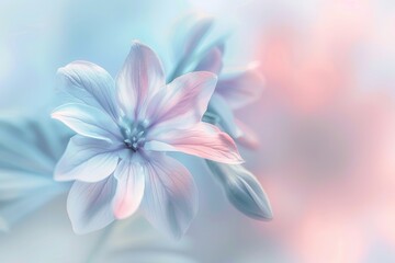 Fototapeta premium Artistic flower image with soft pastel shades.