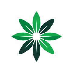 flower isolated on white