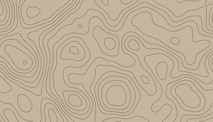 Seamless pattern with lines Topographic map. Geographic mountain relief diagram line wave carve pattern.
