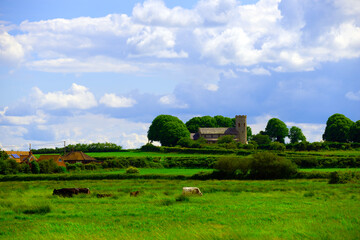 Norfolk landscape.