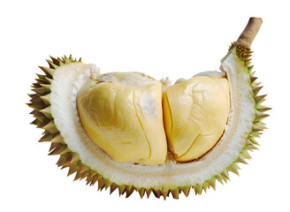 Fototapeta premium Fresh Ripe Durian, cross section of the durian fruit ,yellow rind and soft pincers inside, tall and long half-open durian with yellow pulp, Isolated on White Background