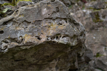 Rock formation in the forest, close-up. Stone texture