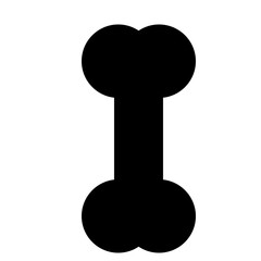 bone icon for illustration