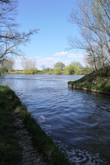Muendung der Gersprenz in den Main