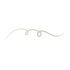 Swashes swoops and swishes calligraphy sign. Underlines hand drawn stroke