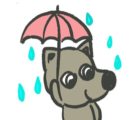 dog rain