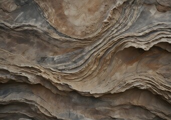 Obraz premium Close-up of rough, brown tree bark with a natural, textured pattern