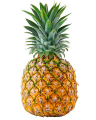 Fototapeta premium Fresh ripe pineapple isolated on white background. High quality image ideal for tropical fruit concepts, healthy eating, and summer themes.