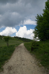 Mountain pasture in the Żywiec Beskids