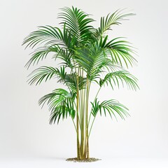 Obraz premium Ultra Realistic Set of Tropical Vegetation Grass Isolated on White Background. High-Quality Illustration Featuring Lush Greenery with Detailed Blades and Natural Texture, Ideal for Botanical and Natur