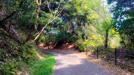 瀬板の森公園 北九州市