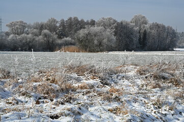 Straeucher im Winter