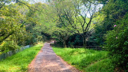 瀬板の森公園 北九州市