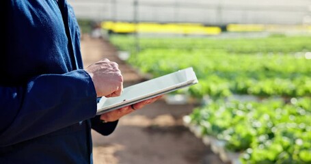 Farmer, hands and tablet in greenhouse for agriculture, sustainable farming and inspection for quality or irrigation control. Man, agritech and scroll for organic agro development and monitoring. - Powered by Adobe