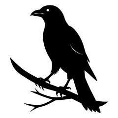  Crow setting on a branch vector silhouette illustration 