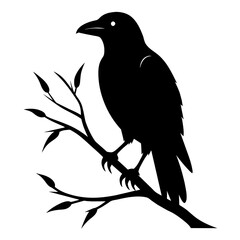  Crow setting on a branch vector silhouette illustration 