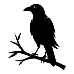  Crow setting on a branch vector silhouette illustration 