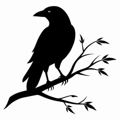  Crow setting on a branch vector silhouette illustration 