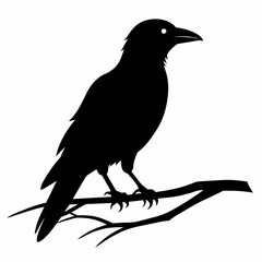  Crow setting on a branch vector silhouette illustration 