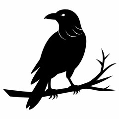  Crow setting on a branch vector silhouette illustration 