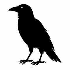  Crow setting on a branch vector silhouette illustration 
