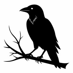  Crow setting on a branch vector silhouette illustration 