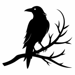  Crow setting on a branch vector silhouette illustration 