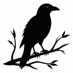  Crow setting on a branch vector silhouette illustration 