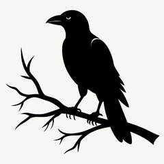  Crow setting on a branch vector silhouette illustration 
