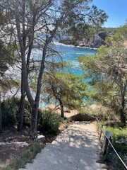 Fototapeta premium Stairway to Hidden Beach: Palms, Cliffs, and Turquoise Paradise
