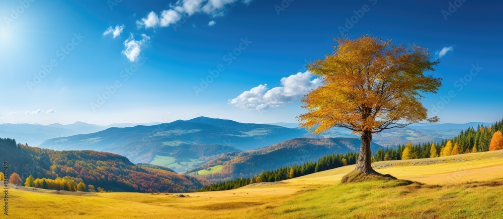 Aufkleber capture a scenic autumn mountain view with a red beech forest in the front as a landscape photograph
