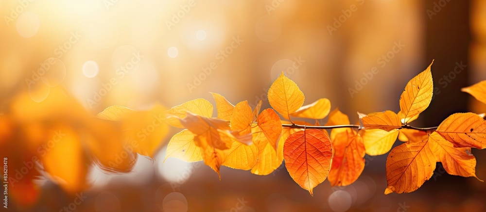 Poster nature-inspired orange bokeh background with sunlight filtering through yellow trees, ideal as a des