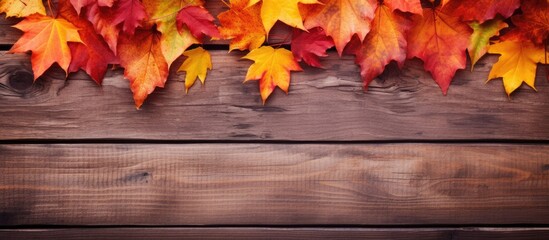 Obraz premium Autumn maple leaves scattered on a wooden surface, creating a picturesque natural backdrop with space for adding images. Copy space image. Place for adding text and design