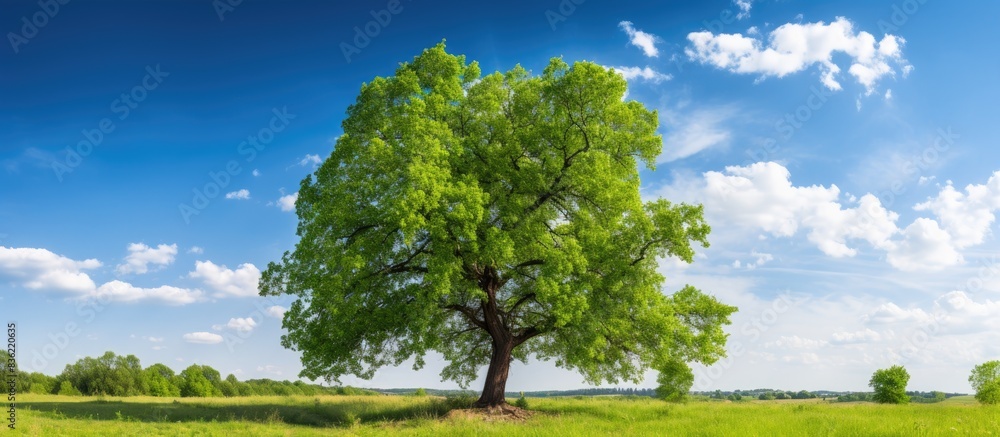 Poster lush spring meadow featuring a large tree surrounded by vibrant greenery, offering ample copy space 