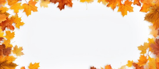 Autumn scenery with maple trees under bright sunlight. Ground covered with dry leaves, creating a warm, orange background for copy space image.