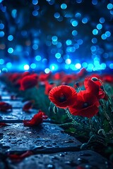 Red poppies used in marketing materials for products or services related to remembrance or nature