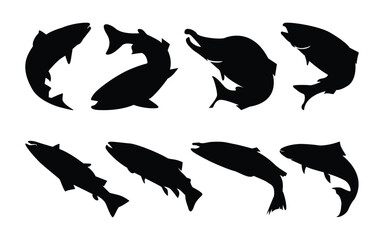 Atlantic salmon fish silhouette collection. Sea animal salmon fish vector illustration set. 