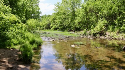 The flowing creek in the woods on a sunny day.