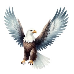 Obraz premium A majestic bald eagle soaring. Watercolor illustration.