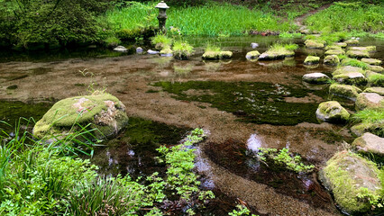 納池公園 綺麗な湧水と澄んだ小川